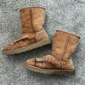 ‼️ UGG CLASSIC SHORT✨